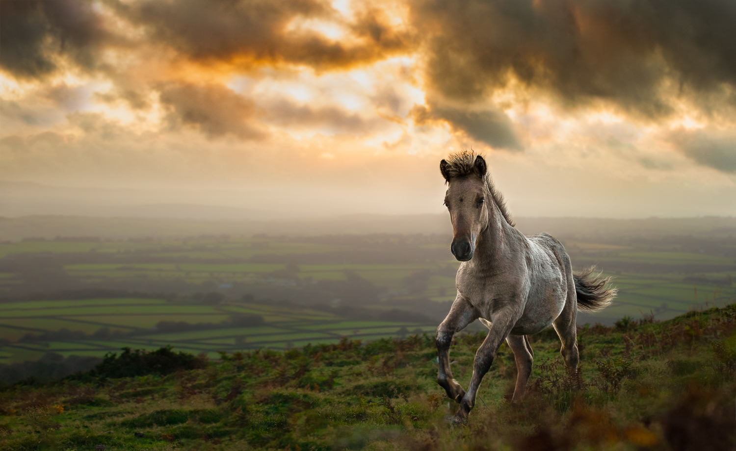 The Horseman’s Dream and Dartmoor