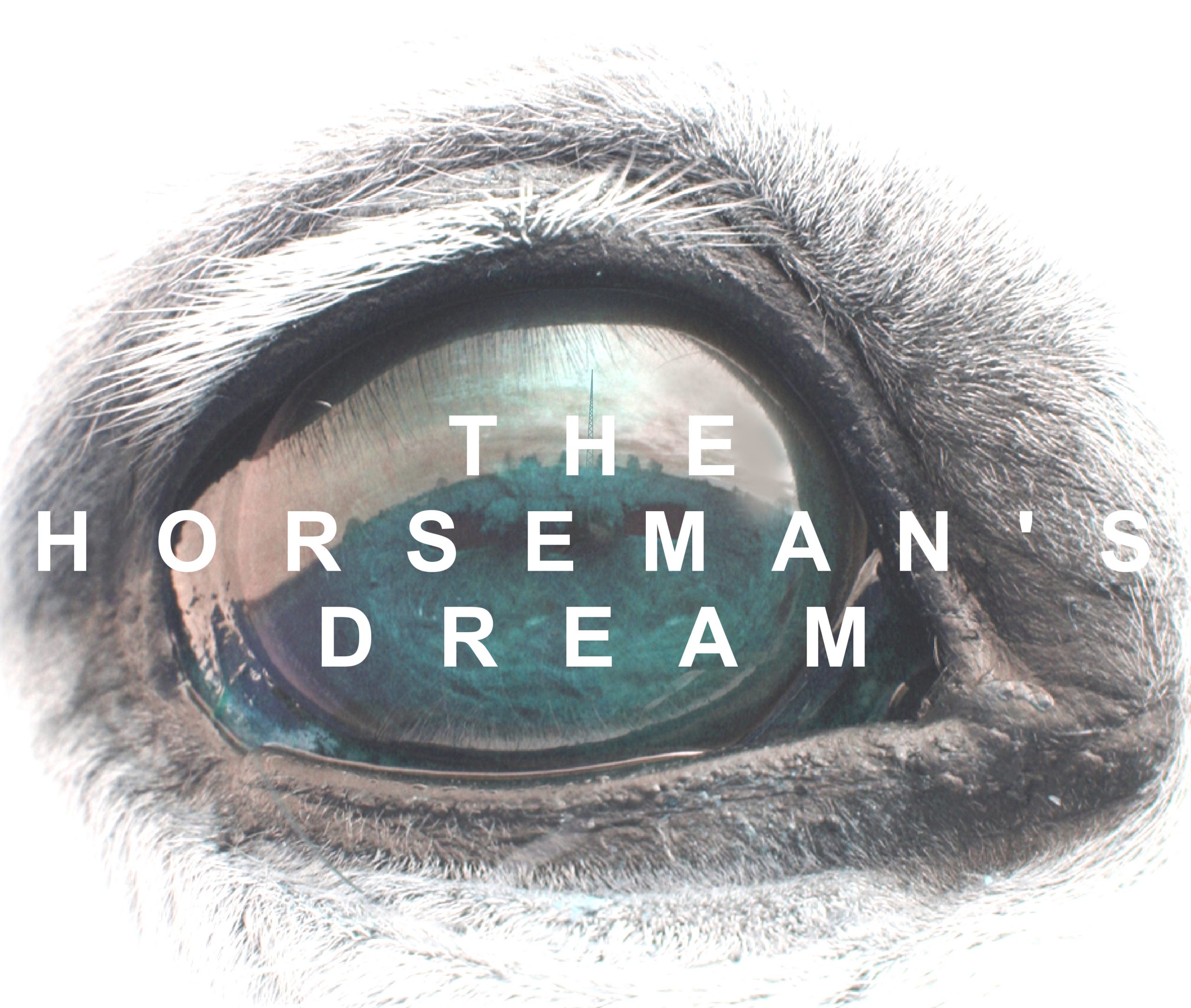 The Horseman’s Dream Tops Amazon Bestseller Chart