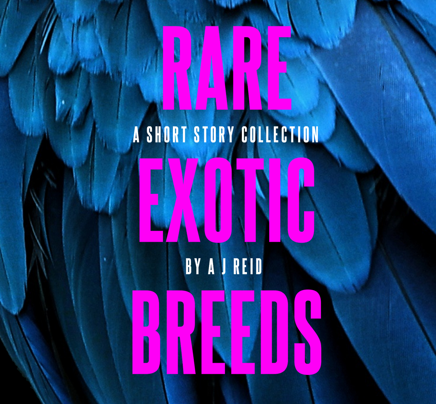 Rare Exotic Breeds